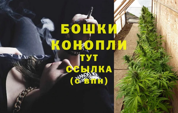 молекула духа Арсеньев