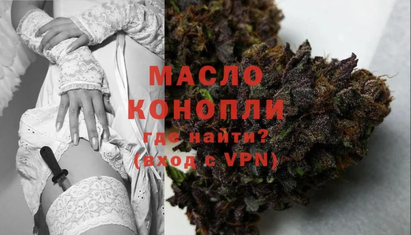 молекула духа Арсеньев