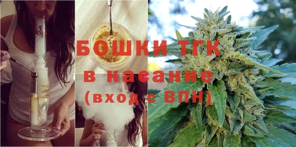 молекула духа Арсеньев