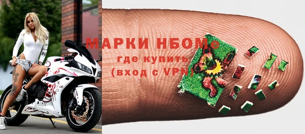 молекула духа Арсеньев