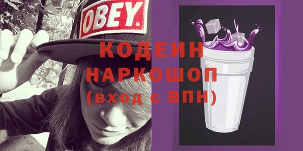 молекула духа Арсеньев