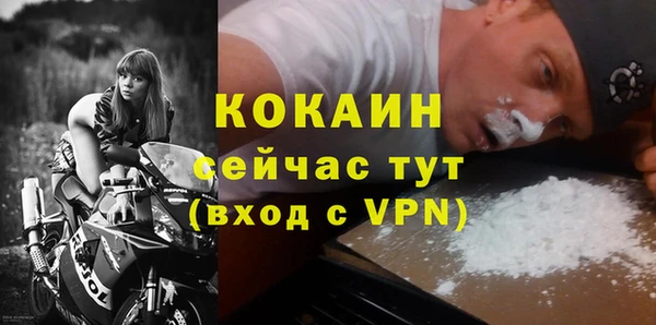 молекула духа Арсеньев