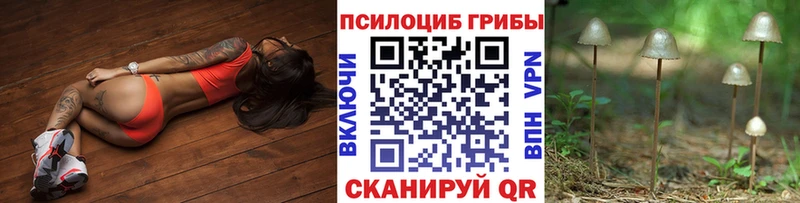 mega как зайти  Сольцы  Псилоцибиновые грибы мухоморы 